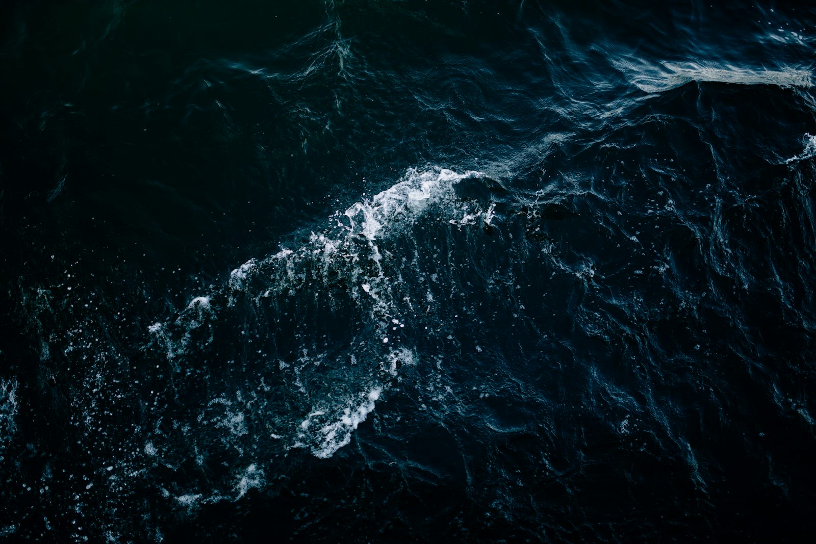 Sea
